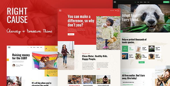 RightCause WordPress Theme