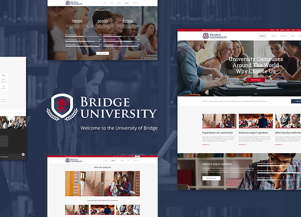 University II Bridge Theme Demo