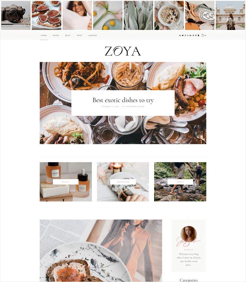 Zoya WordPress Theme