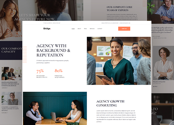 439-consulting-firm Bridge Theme Demo